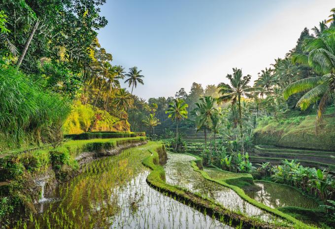 Ubud
