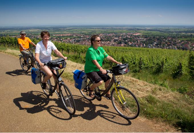 Weinberge und Romantik - Elsass Radtour