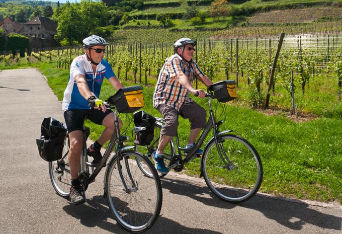 Weinberge und Romantik - Elsass Radtour
