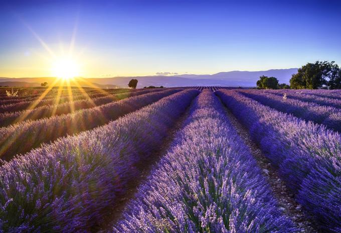 Provence 