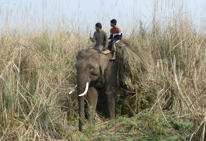 Nepal - Rundreise & Trekking