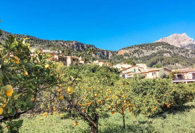 Mallorca: Eine Insel voller Gegensätze - Radtour