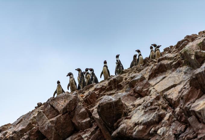 Peru - Rundreise intensiv mit Südroute