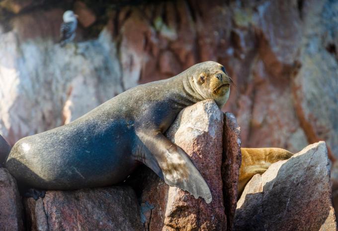 Peru - Rundreise intensiv mit Südroute