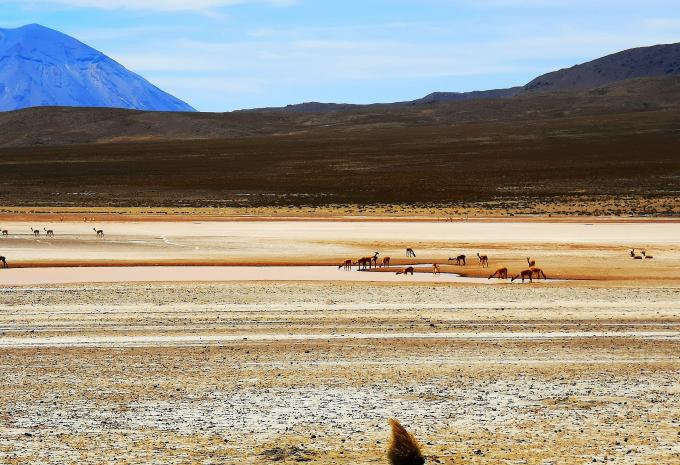 Peru - Rundreise intensiv mit Südroute