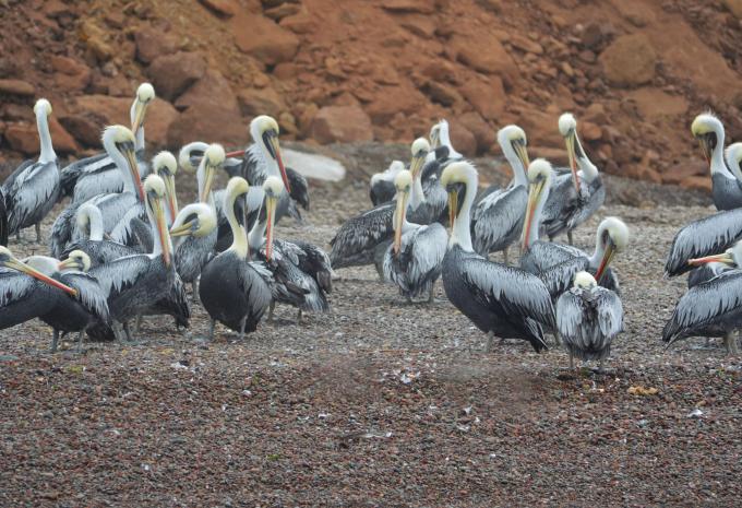 Peru - Rundreise intensiv mit Südroute