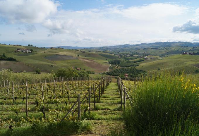 Genusswandern im Piemont - Wanderreise