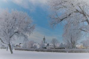 Rust am Neusiedler See