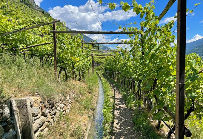 Via Claudia Augusta - Auf alten Römerwegen durch den Vinschgau - Wanderreise