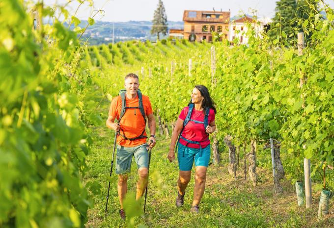 Von Verona zum Gardasee - Weinwandern im Valpolicella