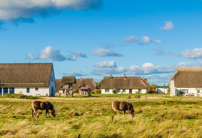 Ostsee Wanderreise - Insel Rügen mit Hiddensee