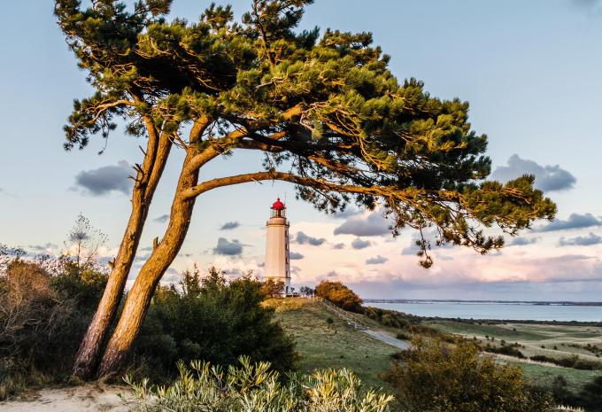 Ostsee Wanderreise - Insel Rügen mit Hiddensee
