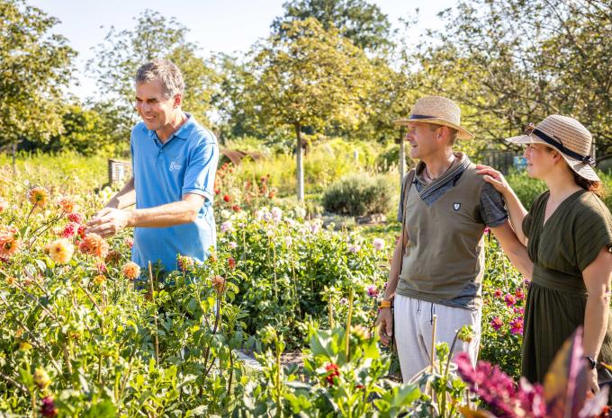 DIE GARTEN TULLN DIE GARTEN TULLN