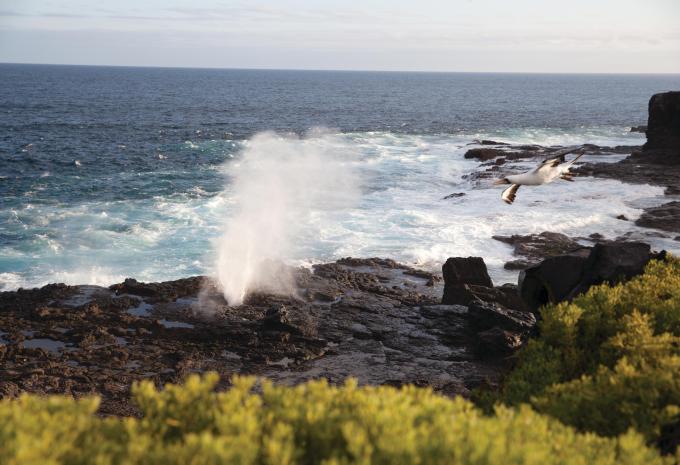 Amazonas & Galápagos-Inseln - Luxuskreuzfahrt & Rundreise