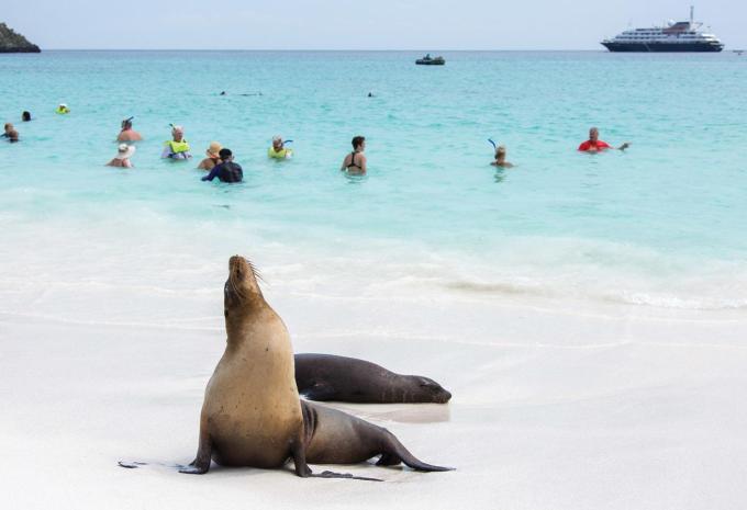 Amazonas & Galápagos-Inseln - Luxuskreuzfahrt & Rundreise