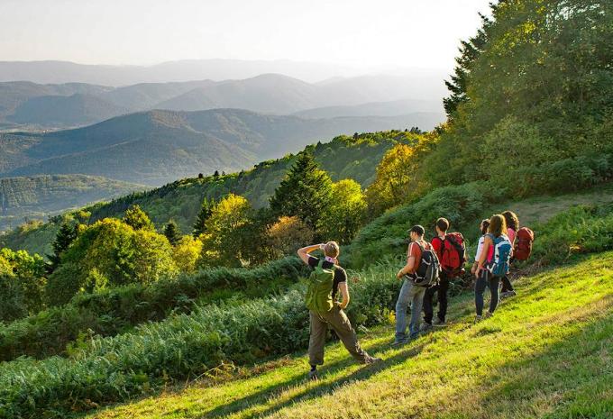Von den Weinbergen bis zu den Vogesengipfeln - Elsass Wanderreise