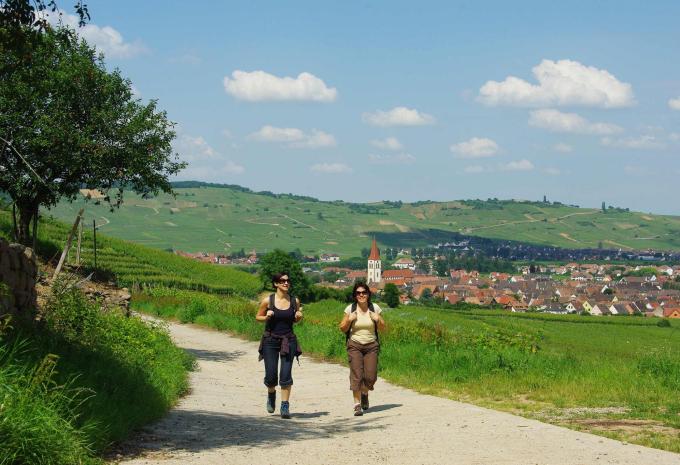 Von den Weinbergen bis zu den Vogesengipfeln - Elsass Wanderreise