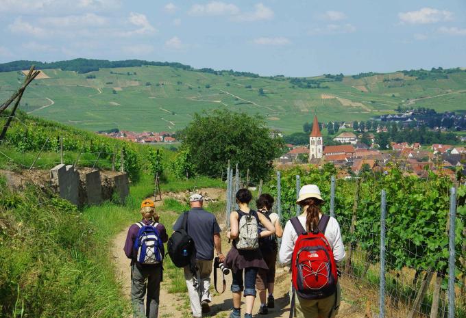 Von den Weinbergen bis zu den Vogesengipfeln - Elsass Wanderreise