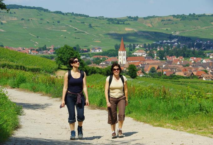 Von den Weinbergen bis zu den Vogesengipfeln - Elsass Wanderreise