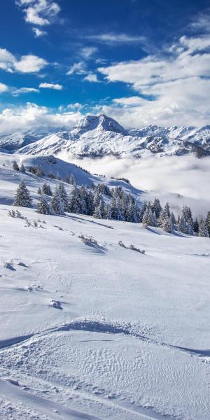 Last Minute-Urlaub in Österreich