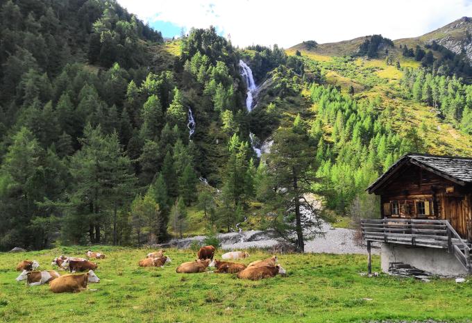 Kals am Großglockner