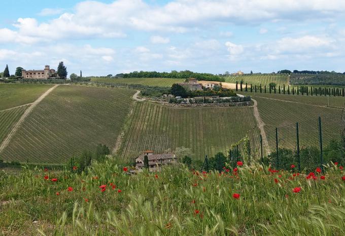 Malerische Toskana - Wanderreise