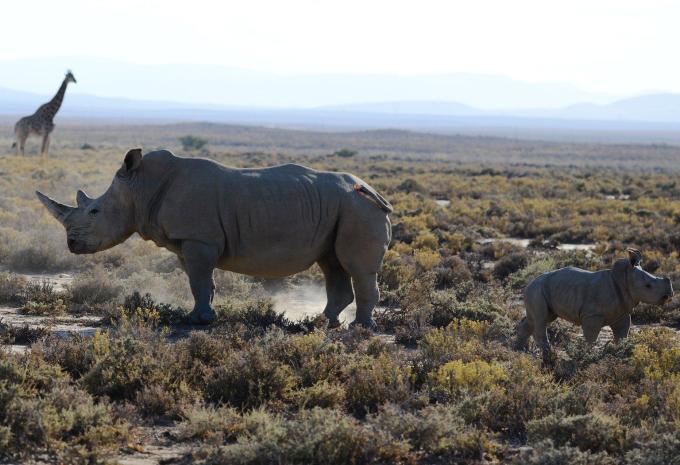Tansania - Safari durch den faszinierenden Norden