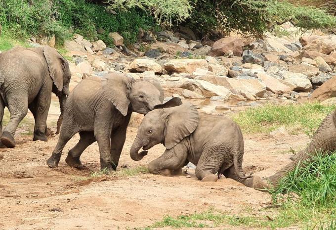 Tansania - Safari durch den faszinierenden Norden