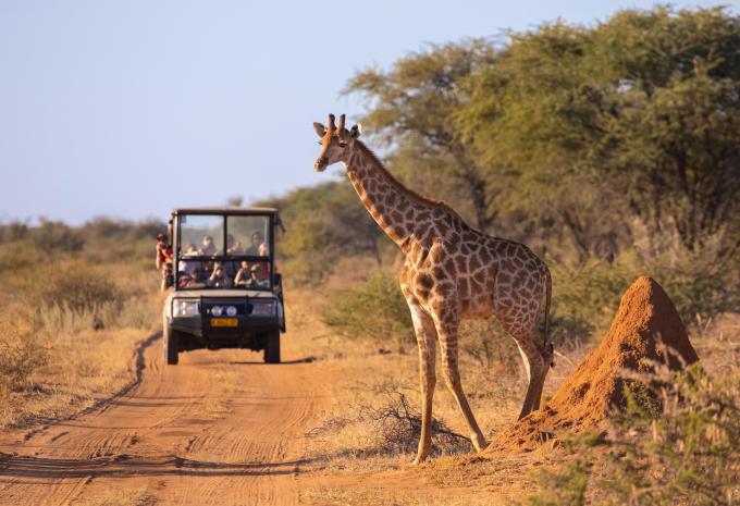 Tansania - Safari durch den faszinierenden Norden