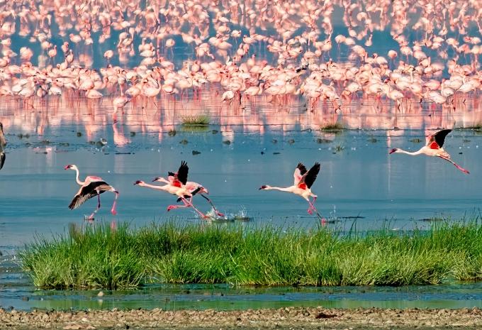 Lake Natron