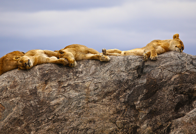 Tansania - Safari durch den faszinierenden Norden