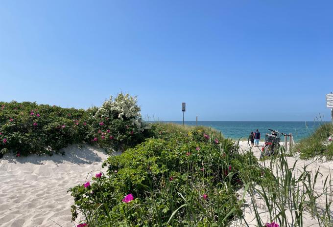 Ostsee - Ostseebad Dierhagen