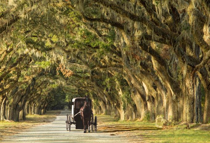 Durch die USA-Südstaaten von Dallas bis Atlanta - Rundreise