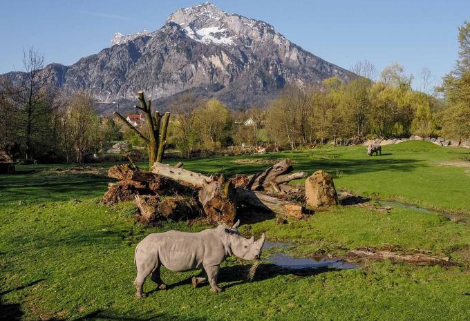 Zoo Salzburg