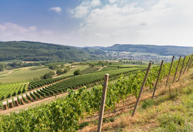Auf dem Südschwarzwald-Radweg - Radtour