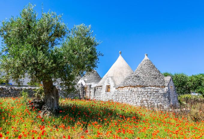 Apulien Radreise - durch Olivenhaine und entlang malerischer Küstenstriche
