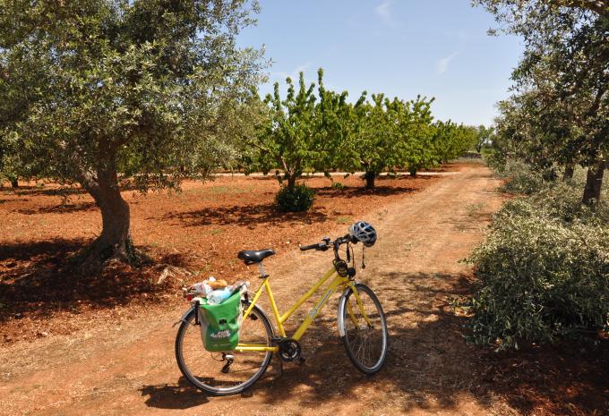 Apulien Radreise - durch Olivenhaine und entlang malerischer Küstenstriche