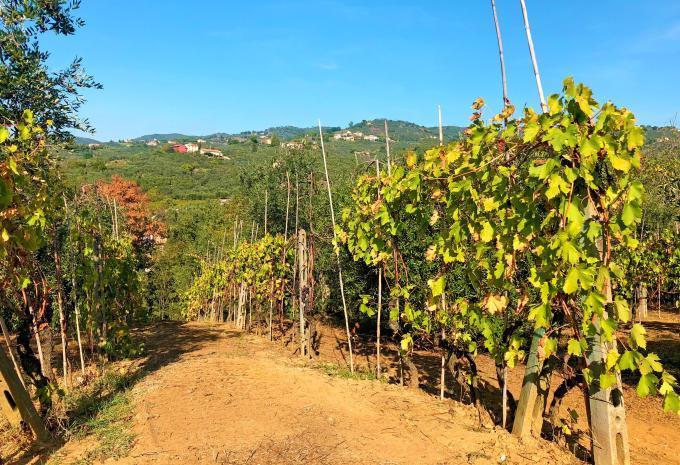 Durch die traumhafte Landschaft der Toskana - Radtour