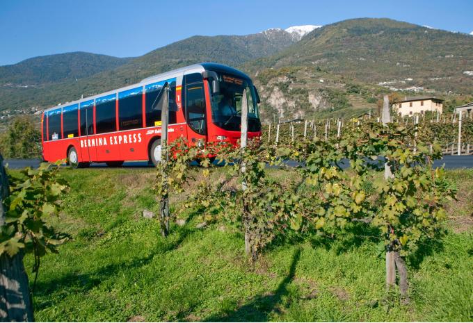 Bernina Express Bus