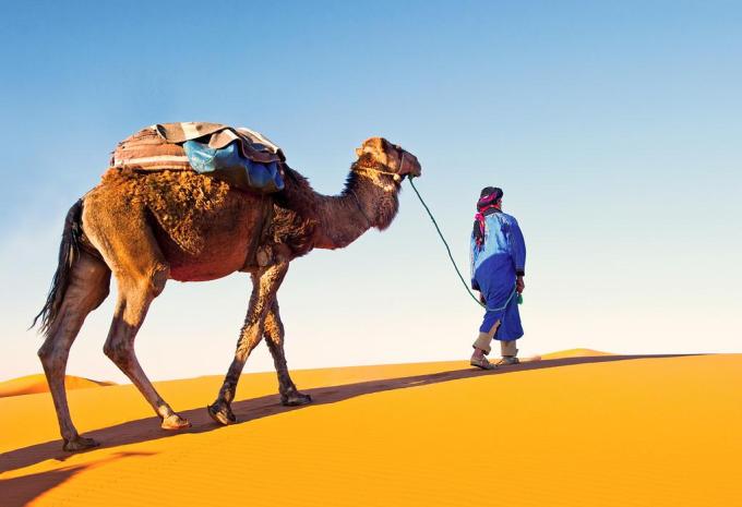 Marrakesch & Wüste Agafay - City-Trip & Erlebnisreise