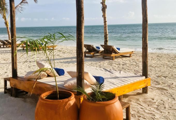 Dream of Zanzibar*****