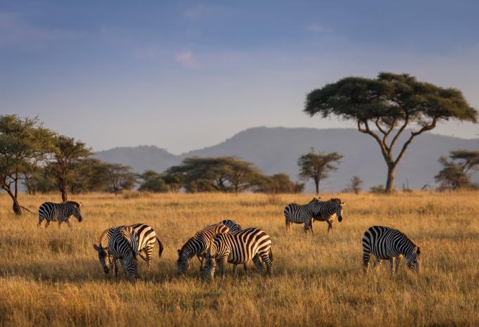 Serengeti-Nationalpark