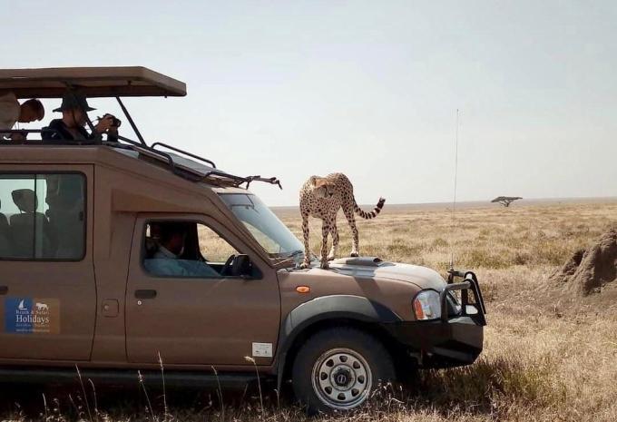 Serengeti-Nationalpark