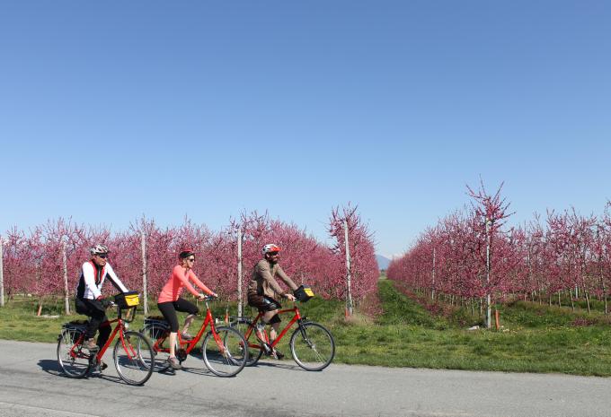 Genuss pur im Piemont - Radtour