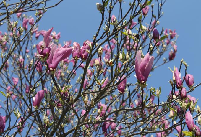 Genuss pur im Piemont - Radtour