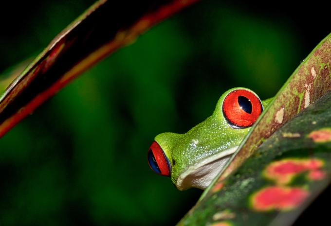 Costa Rica - Wanderreise