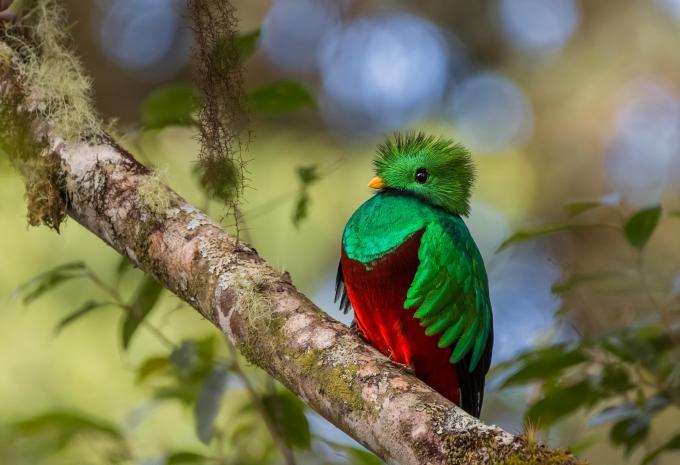 Costa Rica - Wanderreise