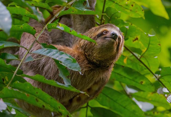 Costa Rica - Wanderreise