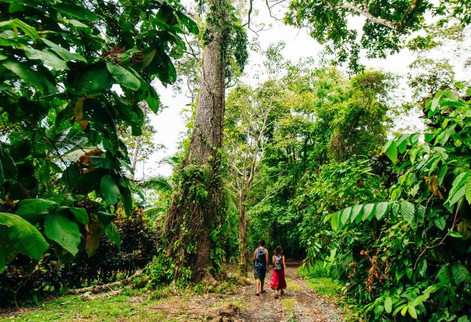 Corcovado Nationalpark