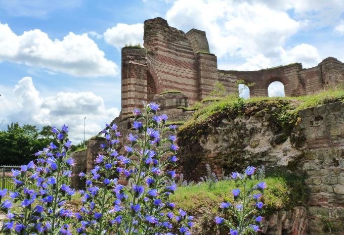 Entlang des Mosel-Radweges von Trier nach Kreis-Traden - Radtour